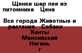 Щенки шар-пея из питомника › Цена ­ 15 000 - Все города Животные и растения » Собаки   . Ханты-Мансийский,Нягань г.